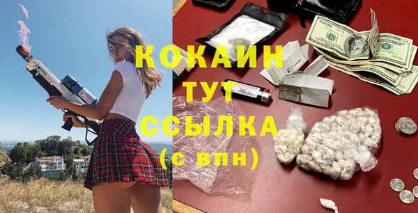 стаф Белокуриха