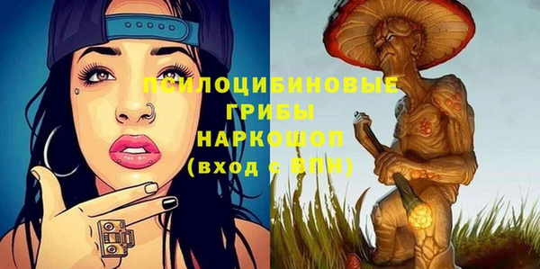 стаф Белокуриха