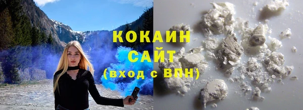 стаф Белокуриха